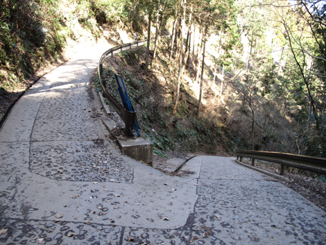 20160226hike (192)